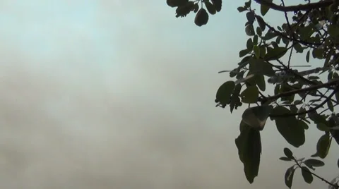 Cal Fire Helicopter Overhead 1 Stock Footage 27470327