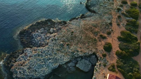  Cala en Bosch Stock Footage 163354835