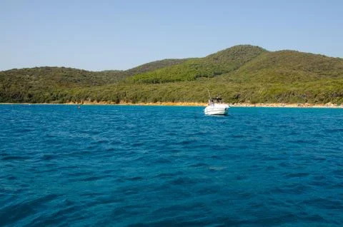 Cala violina Stock Photos