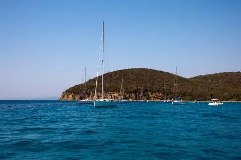 Cala violina Foto stock