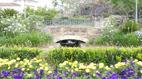 Calabasas Commons Waterfall Stock Footage 50144790