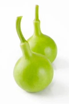 Calabash Stock Photos