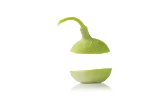 Calabash Stock Photos