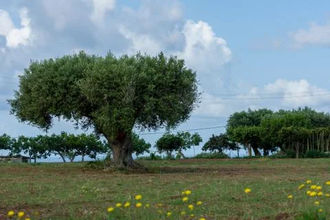Calabria Stock Photos