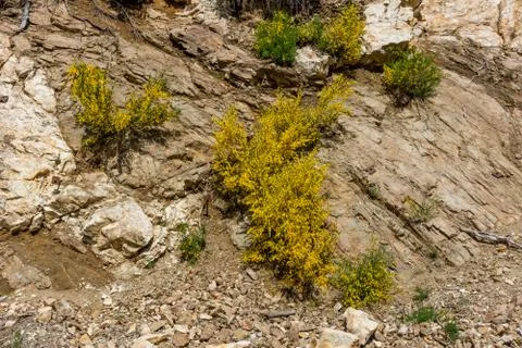 Calabria Foto stock