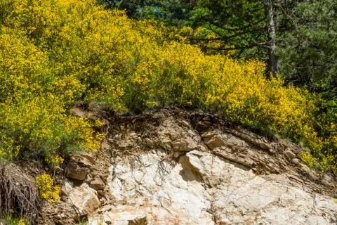Calabria Stock Photos