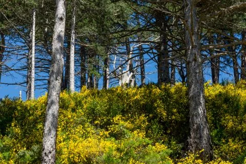 Calabria Fotos Stock
