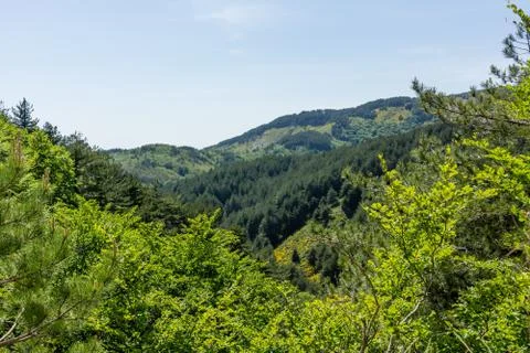 Calabria Stock Photos