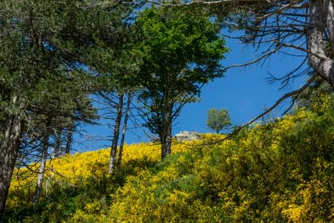 Calabria Stock Photos