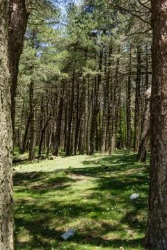 Calabria Stock Photos