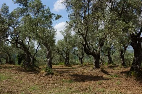 Calabria Foto stock