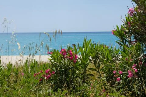 Calabria Stock Photos