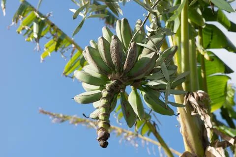 Calabria Stock Photos