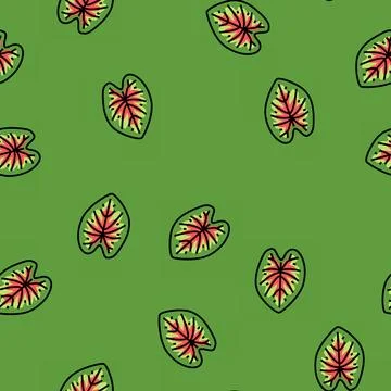 Caladium tropical leaf vector seamless pattern イラスト素材