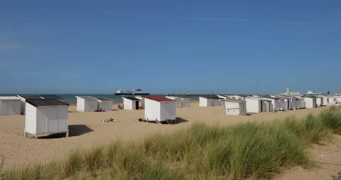 Calais, the beach, Pas de Calais department, France Vidéo 250628412