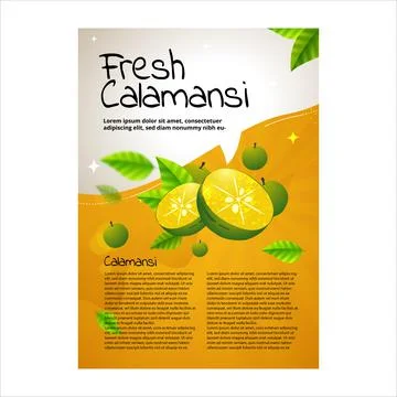 Calamansi orange lime poster template Stock Illustration