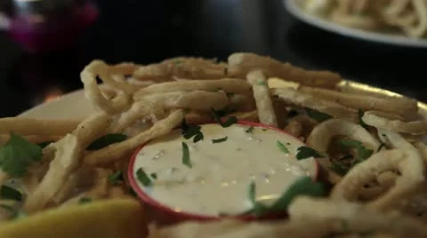 Calamare Stock Footage 11120092