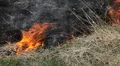Calamity Fire In Dry Agriculture Field in Drought Season, Hot Summer, No Rain HD Footage