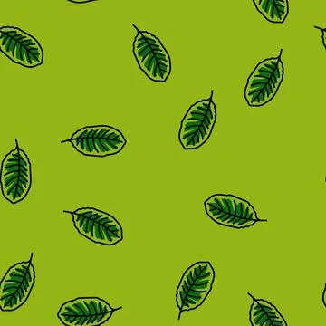 Calathea tropical leaf vector seamless pattern Stock Illustration
