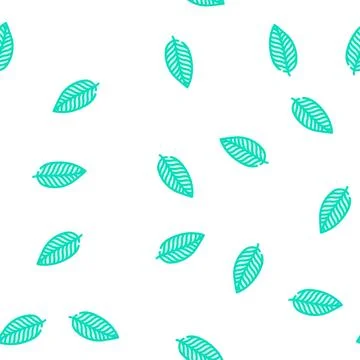 Calathea tropical leaf vector seamless pattern Stock Illustration