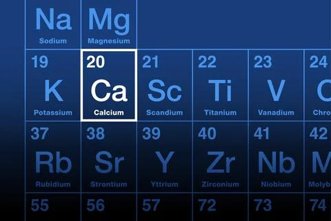 Calcium element on the periodic table, soft metal with symbol Sc Stock Illustration