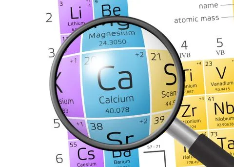 Calcium from Periodic Table of the Elements with magnifying glass 스톡 일러스트