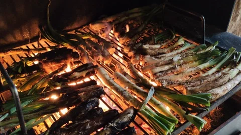 Calçots on the barbecue Stock Footage 124806871