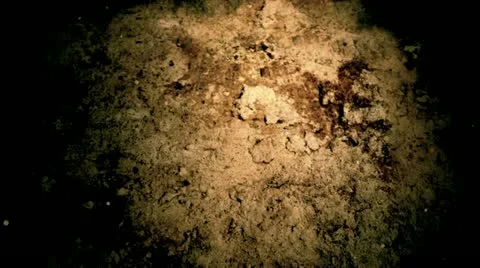 Calculation Stock Footage 10807349