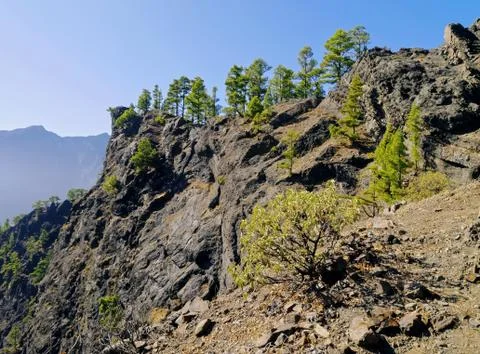 Caldera de taburiente national park on la palma Stock Photos