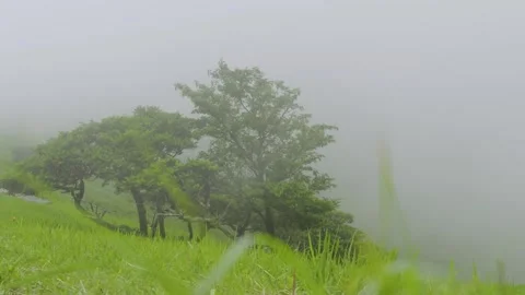 Caldera of Mt. Omuro in Japan on cloudy day Stock Footage 342482548