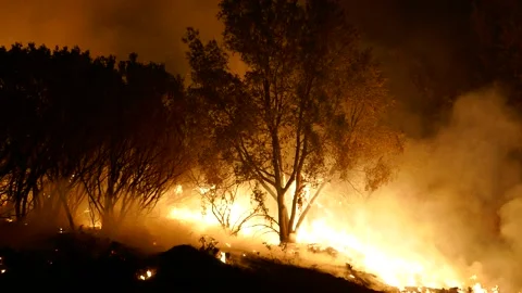 Caldor Fire 2021-476 Stock Footage 159902522