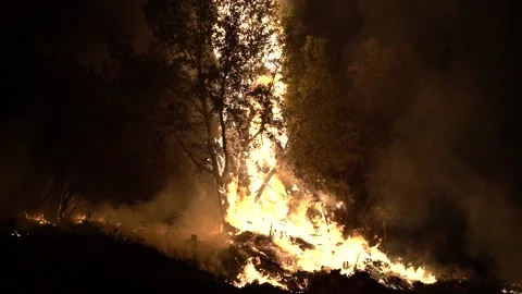 Caldor Fire 2021-504 Stock Footage 159902529
