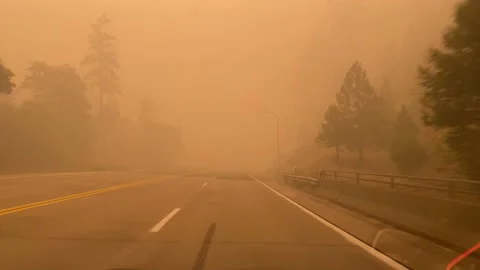 Caldor Fire 2021 Driving Through Smoke Stock Footage 159902497