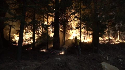 Caldor Fire 2021 Stock Footage 159902554