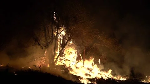Caldor Fire 2021 Stock Footage 159902558