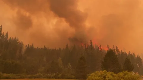 Caldor Fire 2021 Stock Footage 159984491