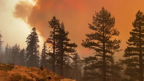 Caldor Fire 2021 Stock Footage 159984504