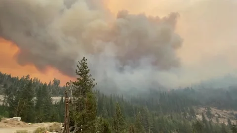 Caldor Fire 2021 at Lovers Leap Smoke Plumb Stock Footage 159901669
