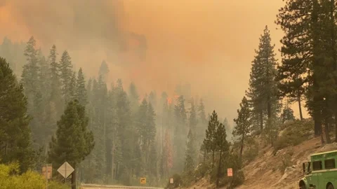 Caldor Fire Stock Footage 159984505