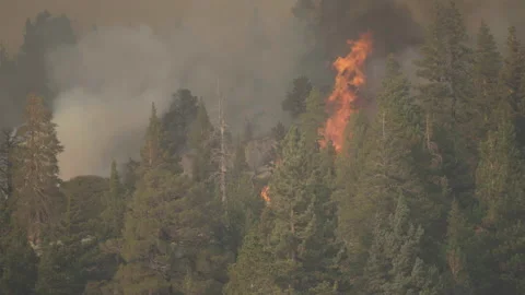 Caldor Fire Stock Footage 160136111