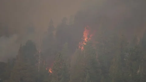 Caldor Fire Stock Footage 160137361