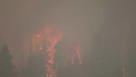 Caldor Fire Stock Footage 160137521