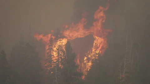 Caldor Fire Stock Footage 160137658