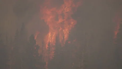 Caldor Fire Stock Footage 160138006