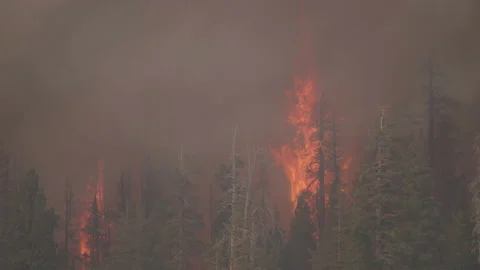 Caldor Fire Stock Footage 160138051