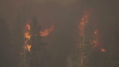 Caldor Fire Stock Footage 160138145