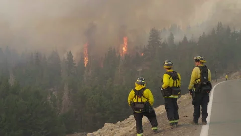 Caldor Fire Stock Footage 160138274