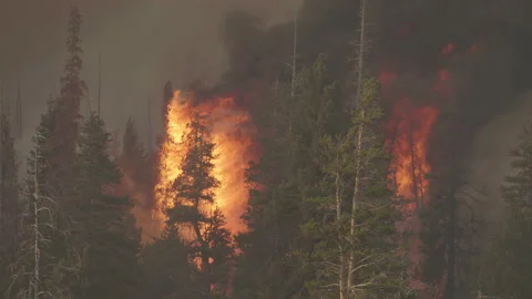 Caldor Fire Stock Footage 160138332