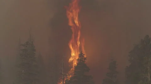Caldor Fire Stock Footage 160138423