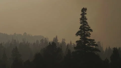 Caldor Fire Stock Footage 160138482